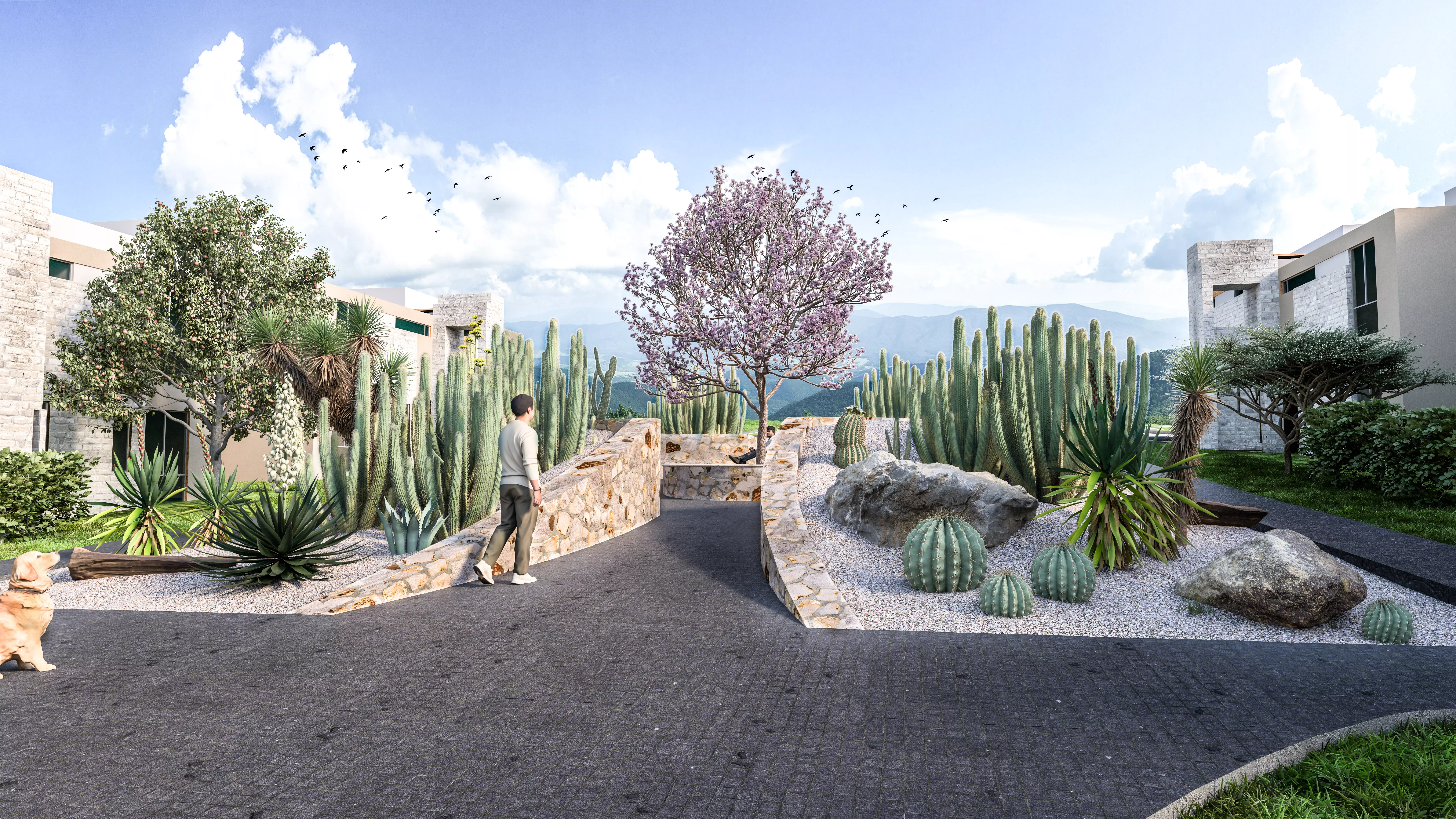 Jardines y senderos con diseño de paisaje